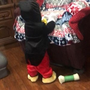 Meet your Posher, Brandy